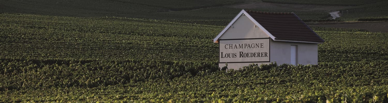Champagne_Louis_Roederer